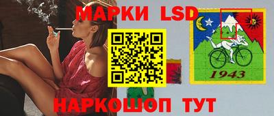 гидра Бердск