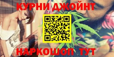 гидра Бердск