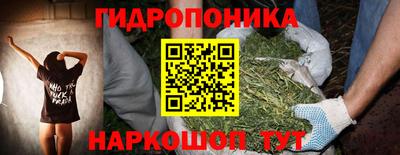 гидра Бердск