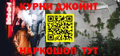 гидра Бердск