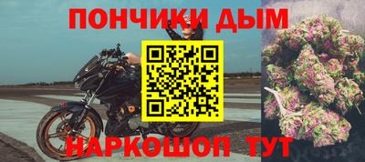 гидра Бердск