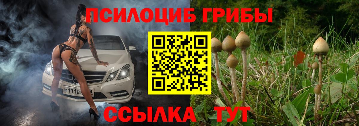 Псилоцибиновые грибы мицелий  Вход с VPN  Тихвин 