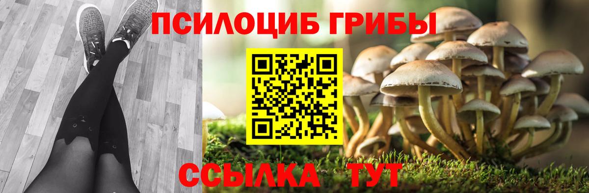 Псилоцибиновые грибы Magic Shrooms Тихвин