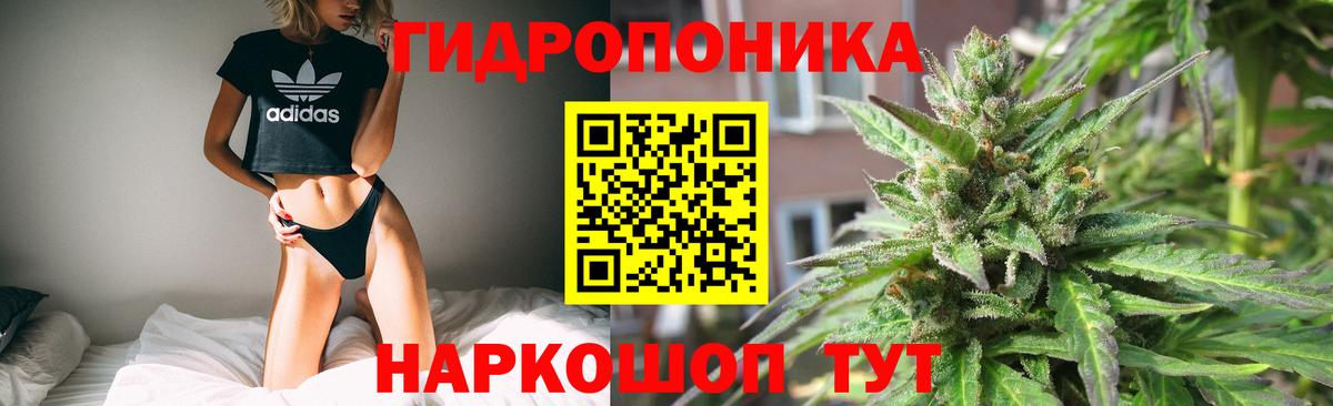 Бошки марихуана Ganja  Вход с VPN  Бошки марихуана White Widow  Каннабис планчик  Тихвин  Шишки марихуана план 